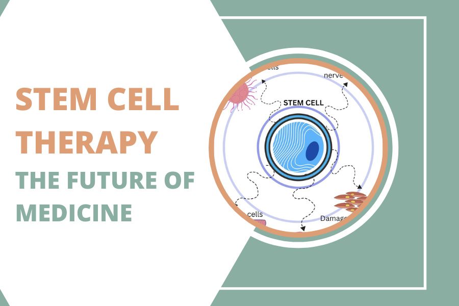 STEM CELL THERAPY: THE FUTURE OF MEDICINE