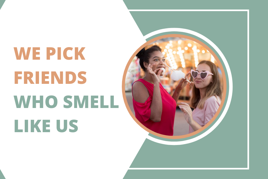 We Pick Friends Who Smell Like Us